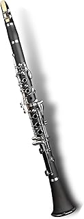 Professional Clarinet Instrument Playing Clarinet In B Flat Clarinet for Beginner