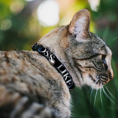 Collar Gato Antiahogo Buckle-Down Evita Enganches con Cierre Breakaway 3