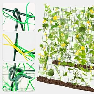 Pack 2 Heavy Metal Garden Trellis for Climbing Plants with Trellis Netting & Garden Clips,Cucumber Trellis for Climbing Plants Outdoor Metal,A-Frame Cucumber Trellis for Raised Bed (Pack 2) Pack 2 Heavy Metal Garden Trellis for Climbing Plants with Trellis Netting Garden ClipsCucumber Trellis for Climbing Plants Outdoor MetalA Frame Cucumber Trellis for Raised Bed Pack 2