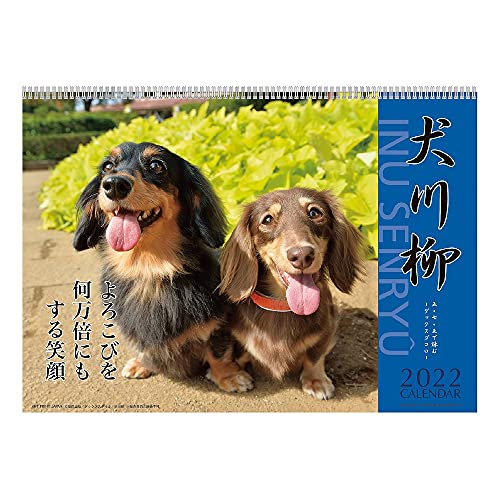 ダックス川柳 カレンダーの人気商品 通販 価格比較 価格 Com