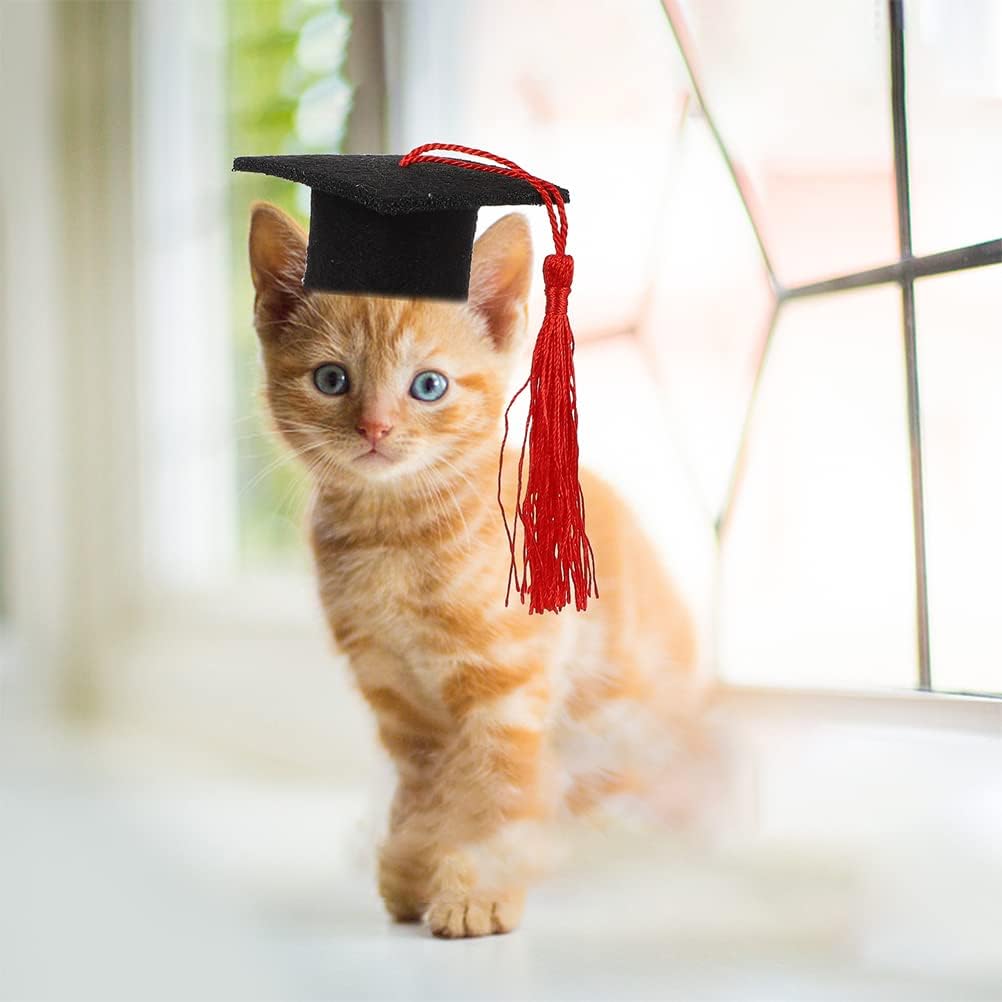 LUOZZY 6 Pcs Dog Graduation Caps with Red Tassel Small Dog Graduation Hats for Dogs Cats 2024 Graduation Pet Costume Accessory