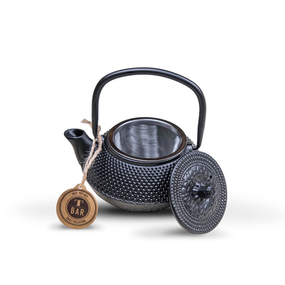Teiera in ghisa con infusore modello "Nangang" 300 ml