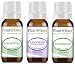 Essential Oil Set Beginner Trio Kit 10 ml 100% Pure Therapeutic Grade Includes: Eucalyptus, Lavender, Peppermint. For Aromatherapy Diffuser Humidifier, Skin and Hair Growth.