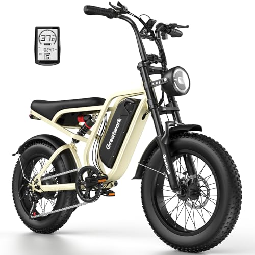 GREAT WORK 2500W Peak Electric Bike for Adults, 48V 960Wh