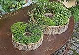 Pflanzer Rindenstücke im 2er Set, rundes Pflanzgefäß im Rad-Design, Kräutertopf, Pflanzring, Pflanztopf, Blumenschale, Gartendeko