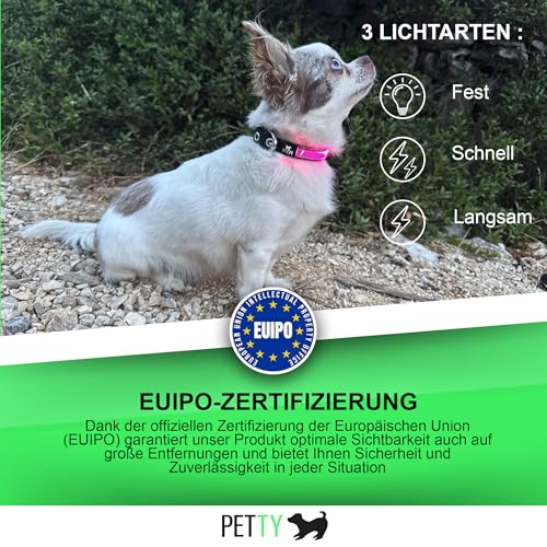 Petty Italia Verstellbares Hundehalsband aus Biothane mit LED, Nachtleuchtendes Halsband aus Biothane mit PVC und wiederaufladbarem Akku (Grün, L)