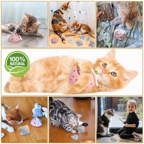 Miniatura 2 de Seamorn Hierba Gatera, Juguetes Y Accesorios Con Catnip