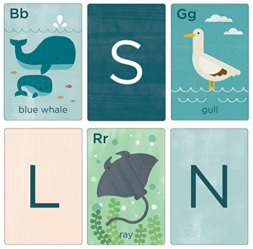 Petit Collage A-Z Alphabet Art Cards, Ocean Life