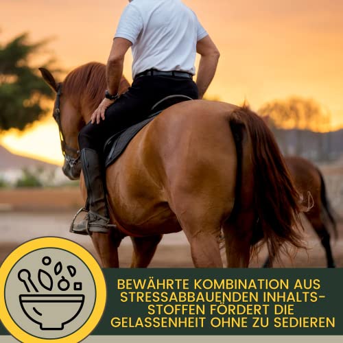 Magnésium cheval poudre Calm Horse Relax Antistress pour calmer l