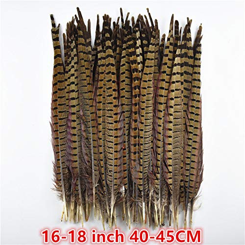 Sprzedaż hurtowa 10-75 cm 4-30 cali naturalne pióra bażanta do rękodzieła dekoracje ślubne pióra bażanta karnawałowego - 65-70 cm 26-28 cali, 200 szt