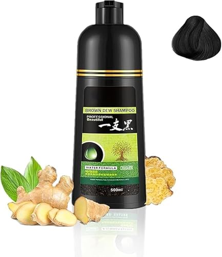 Herbal Shampoo,Vegetable Hair Dye,Pure Plant Extract Hair Dye Shampoo 3 in 1,Herbal Hair Coloring Shampoo,Instant Black Hair Sha
