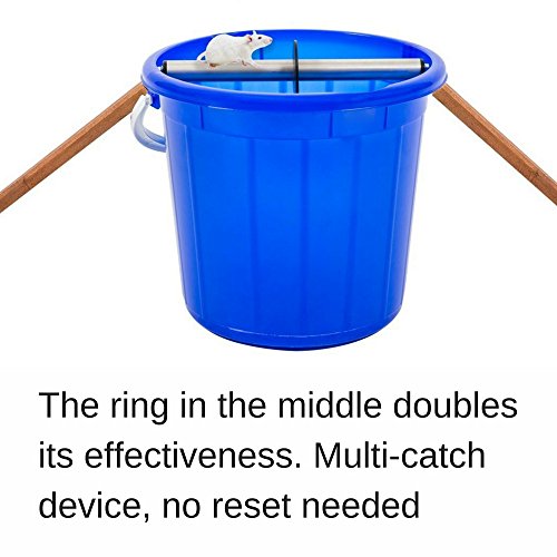 Odesos Mouse Trap, Live Catch And Release Bucket Spin Roller With An Original Ring For Mice Rats Rodents. Humane. Auto Rolling Reset. Safe For Children And Pets Works Outdoors And Indoors #TOP3
