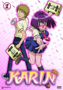 DVD Karin, Vol. 1: Infusion Book