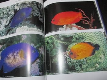 図書　図鑑 Pepper分解図鑑 | NDLサーチ | 国立国会図書館