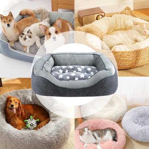 Matelas pour cage de chien : soulage les articulations de votre compagnon - 5