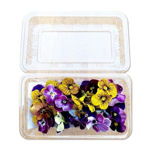 季節のエディブルフラワー50輪おまかせ