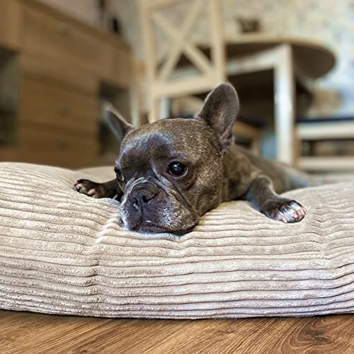 4L Textil ZOE Weiches und Kuscheliges Hundebett Grosse Hunde, Hundebett mit Bezug und Reißverschluss, Waschbar (100x80 cm, Latte (Streifen)