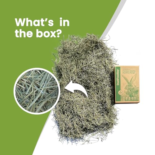 Lunnun Trading & Sales LTD Timothy Hay Premium Quality, Dust-Free, Green 100% Natural Timothy Hay for Rabbits, Guinea Pigs, Hamsters, and all Small Animals - 2.5 KG - Image 3