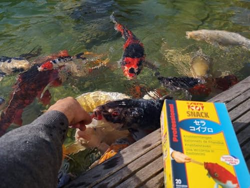 sera Koi Snack Nature 20 St (35 g) - Koifutter - der Snack zur Fütterung aus der Hand