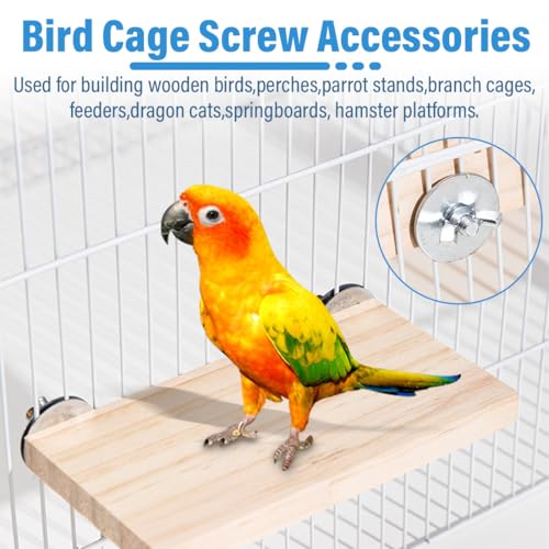 EYVRPAU 10er Set Befestigungsset Astschrauben zum Selbstbau von Sitzstangen Käfigbefestigung Vogelspielzeug Sitzstangen Sitzbretter Wellensittiche zubehör mit Eindrehwerkzeug (Edelstahl)