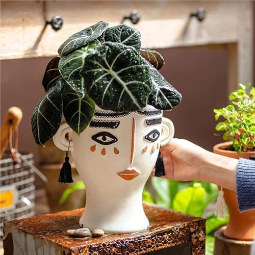 Pots for succulentes en forme de tête avec structure stable pour intérieur - 4