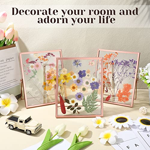 Hoteam 6 Pieces 5 X 7 Inch Gold Floating Frame Glass Picture Frame Bulk Metal Vintage Photo Frame Geometric Picture Frame Vertical For Tabletop Display Or Wall Mounting Decor (Rose Gold) #TOP4