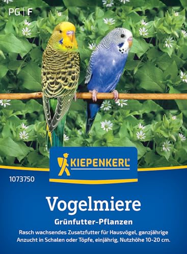 Kiepenkerl Vogelmieresamen Frischgrün-Futter 1073750 - rasch wachsend - ganzjährig oder einjährig - Zusatzfutter - Saatgut, Samen Anzucht, Pflanzensamen Kiepenkerl Vogelmieresamen Frischgrün-Futter 1073750 - rasch wachsend - ganzjährig oder einjährig - Zusatzfutter - Saatgut, Samen Anzucht, Pflanzensamen