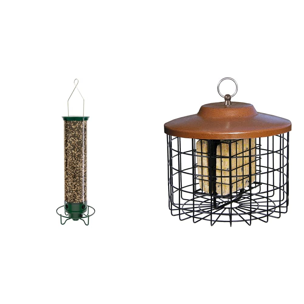 Droll Yankees YFM Yankee Flipper SquirrelProof Bird Feeder, 17.25", Green & More Birds