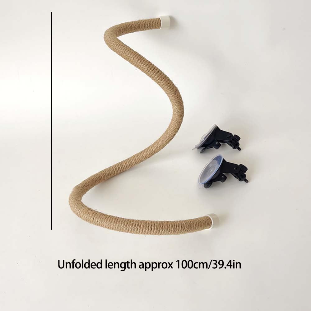 Suction Cup Set for Bird Window/Bath/Car/Travel Perches - Suitable for Small and Medium Bird Parrot Parakeet Cockatiel Conure Budgie Lovebirds