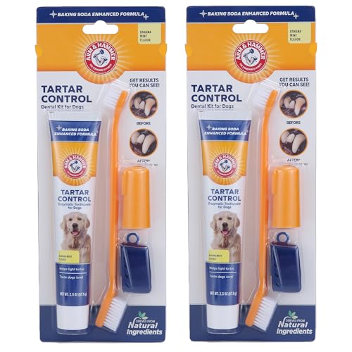 Image of Arm & Hammer for Pets Tartar Control Dog Dental Care Kit, Banana Mint Flavor Toothpaste with Baking Soda, Double-Sided Toothbrush and Finger Brush Included, 2.5 Oz, 3-Piece - 2 Pack
