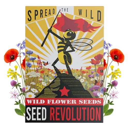 Seed Revolution - 15 Varieties Wildflower Seeds - Spread The Wild Seed Pack- Wild Flower Seeds for Planting UK - Native Gardening Gifts - Grow a Garden Outdoor Plants for Bees - Pack of 3 (12g)