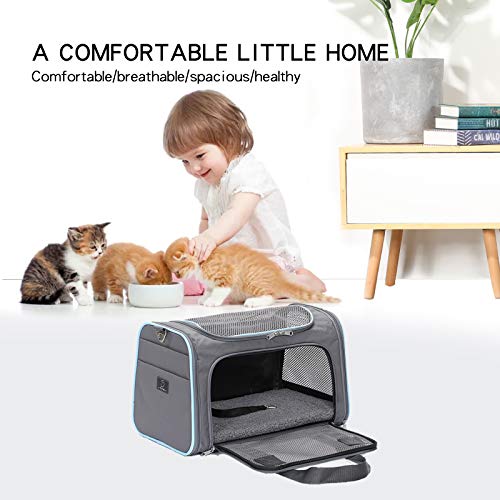 A4Pet Airline Approved Cat Carrier Dog Carriers,Removable Soft-Sided Portable Pet Travel Washable Carrier For Kittens,Puppies,Rabbit,Hamsters #TOP7