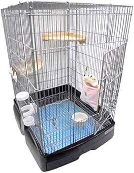 Amazon | フクロモモンガ飼育セット 【Aコース】 (木製ステージも付き