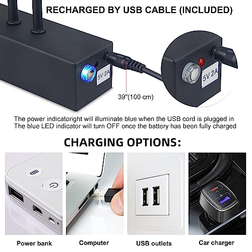 Image of Picture Light,Battery Art Lights for Wall,Wireless Remote Painting Light with Timer and Dimmable,13 inchMetal Display Lighting for Artwork,Portrait,Gallery-Black