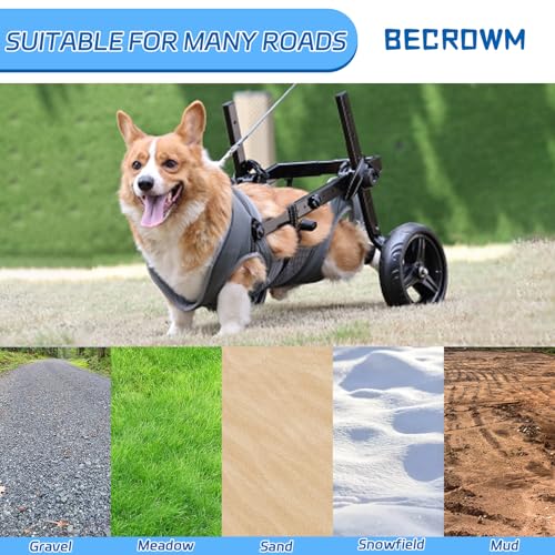 BECROWM Cadeira De Rodas Para Cães Com Patas Traseiras, Carrinho De Cadeira De Rodas Para Cães E Ani