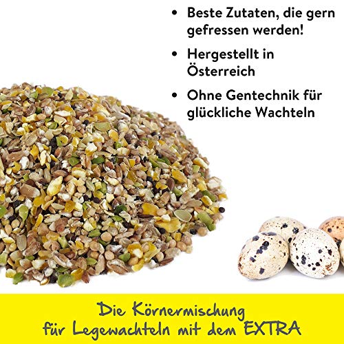 Emmas Wachtelvoer 20 kg - kwarteldroom extra | basisvoer korrelmengsel voor legwiebelen | zonder gentechnologie… - Image 3