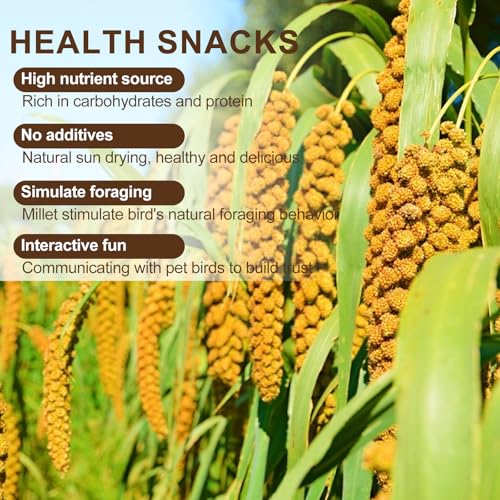 Natural Spray Millet for Birds, 400 Gram Sun-Dried Millet Bird Treat - Food for Parakeets, Parrots, Cockatiels, Lovebirds, Finches, Canaries - Image 5