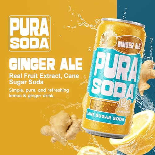 Image of PuraSoda Ginger Ale - 12g Pure Cane Sugar Soda, 10 Fl Oz, Pack of 24