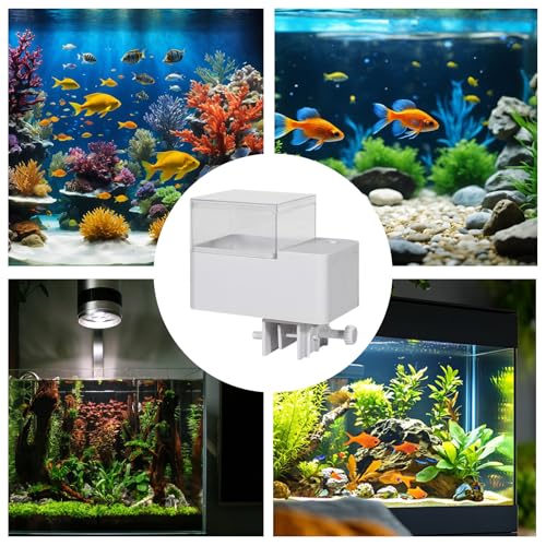Alimentador automático para peces y reptiles en estanques o acuarios de jardín 6