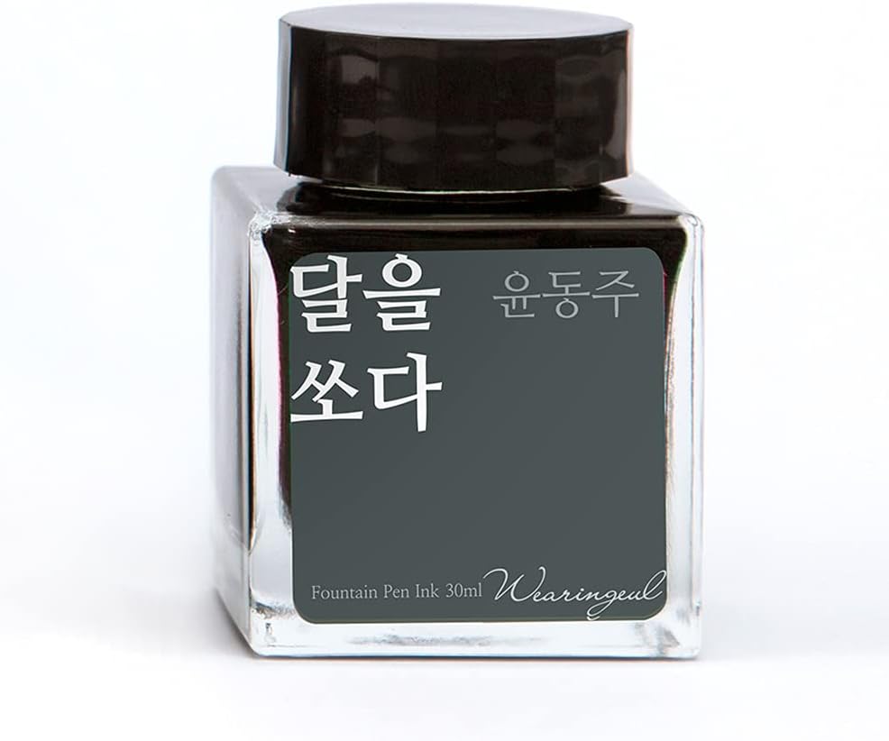 Shoot The Moon_Yun Dong Ju Poet Literary Fountain Pen Ink Bottled Ink_Dip Pen Writing Instrument Calligraphy Drawing