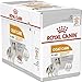 Produktbild Royal Canin Coat Care Loaf | 12 x 85 g | Alleinfuttermittel für ausgewachsene Hunde Aller Rassen | Kann dabei helfen die Haut- und Fellgesundheit zu unterstützen | Mousse