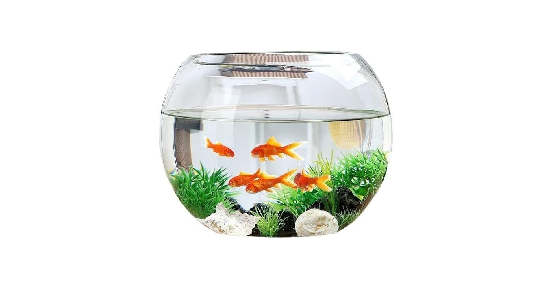 ADA ガラス水槽 36cm×22cm×26cm 新品未使用 楽天市場】ガラス水槽 アクロ36 36×22×26cm 約18L
