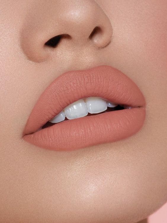 Face Up Waterproof Creamy Matte Long Lasting Liquid Lipstick, Lightweight And Moisturised Lips, spf 30++, Shade – Bridal Clay Crush (M – 23) Face Up Waterproof Creamy Matte Long Lasting Liquid Lipstick, Lightweight And Moisturised Lips, spf 30++, Shade – Bridal Clay Crush (M – 23)