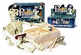 Pirate Dig Kit