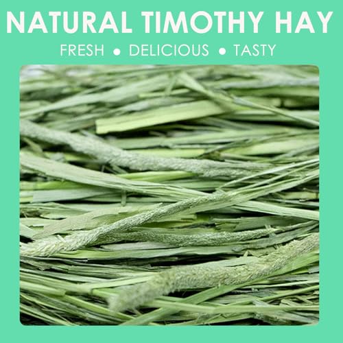 ERKOON Timothy Hay 500g para pequeñas mascotas miniatura 3