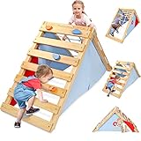 Dripex Kletterdreieck Indoor, 3 in 1 Klettergerüst mit Kletter-Leiter/Netz und Spielzelt, Pikler Dreieck Outdoor, Montessori Spielplatz Set für Kleinkinder ab 3 Jahr, belastbar 60kg