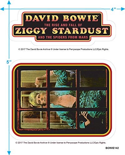 David Bowie Ziggy Stardust Rock Album T Shirt4