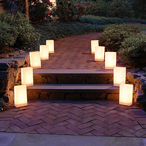 Lumabase 318100 Plastic Luminaria Lanterns, White #TOP4