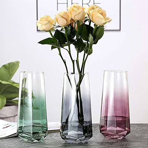 Glazen Bloem Vaas, Ins Stijl Crystal Clear Vaas Diamant Bodem Vaas Handgemaakte Bloem Plant Container Terraria Glazen Vaas voor Bloemen Hydrocultuur Plant, Bruiloft Housewarming Party Home Office Decor - Afbeelding 8