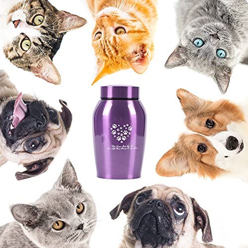 Youdear Memorials Hundeurne Violett Mittel für Haustiere